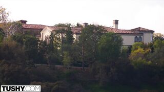 Félvér spanyol hölgyemény tövig szereti