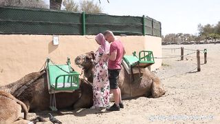 Méretes keblű arab bige szexelése