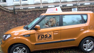 Fake Driving School - Cindy Shine inkább kúr a vezetés helyett