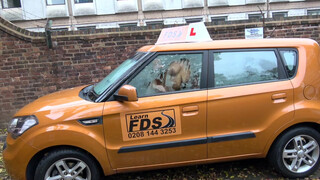 Fake Driving School cuki japán kisasszony kúrni akar